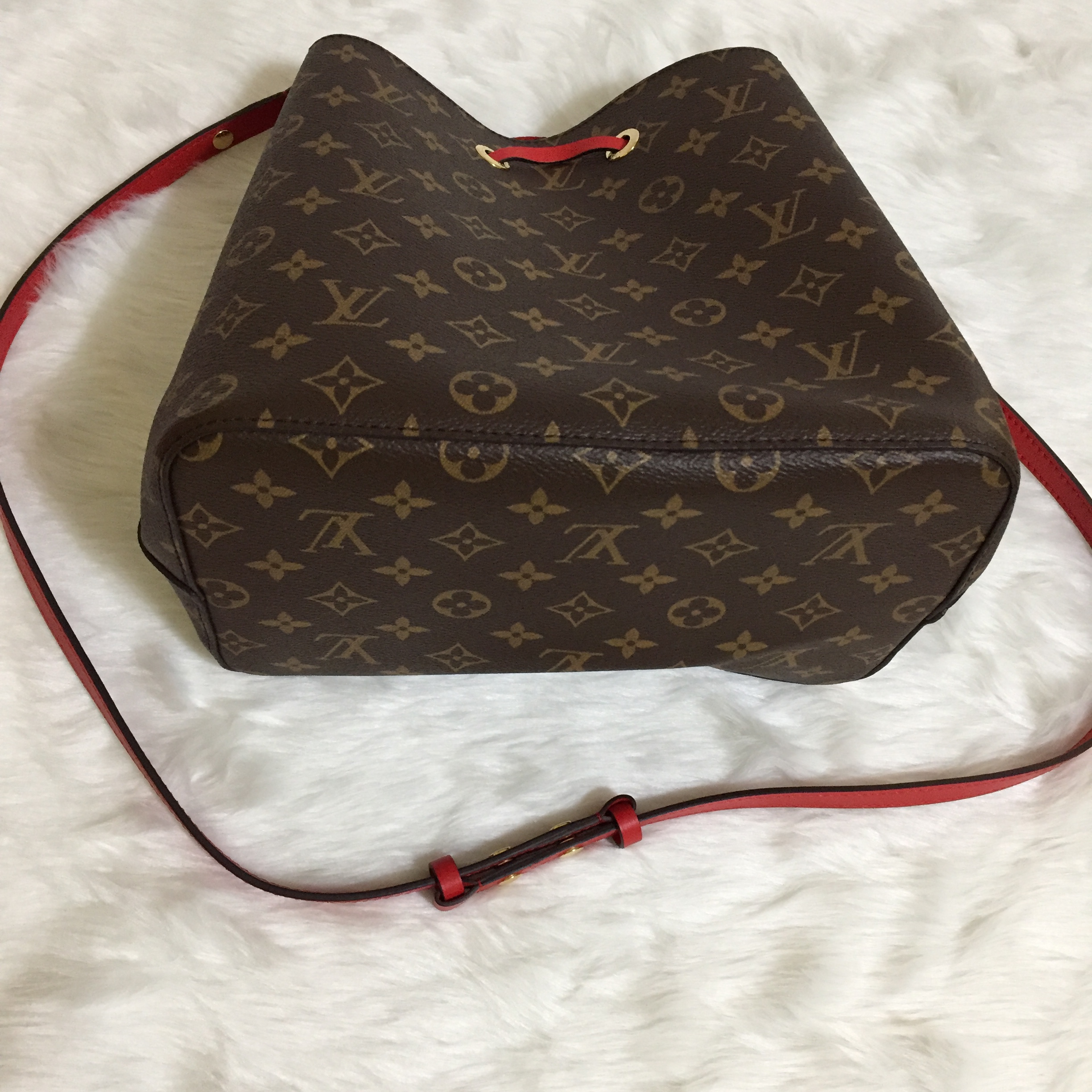 Review: The Louis Vuitton Monogram Neonoe Bag – My Bag Files